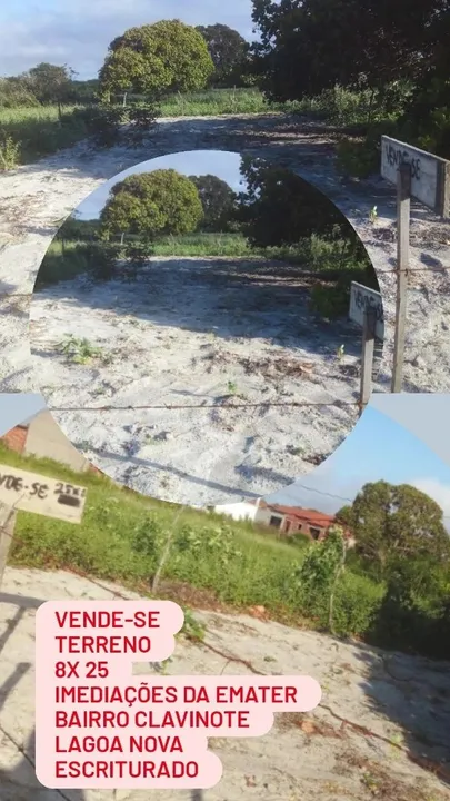 Terreno