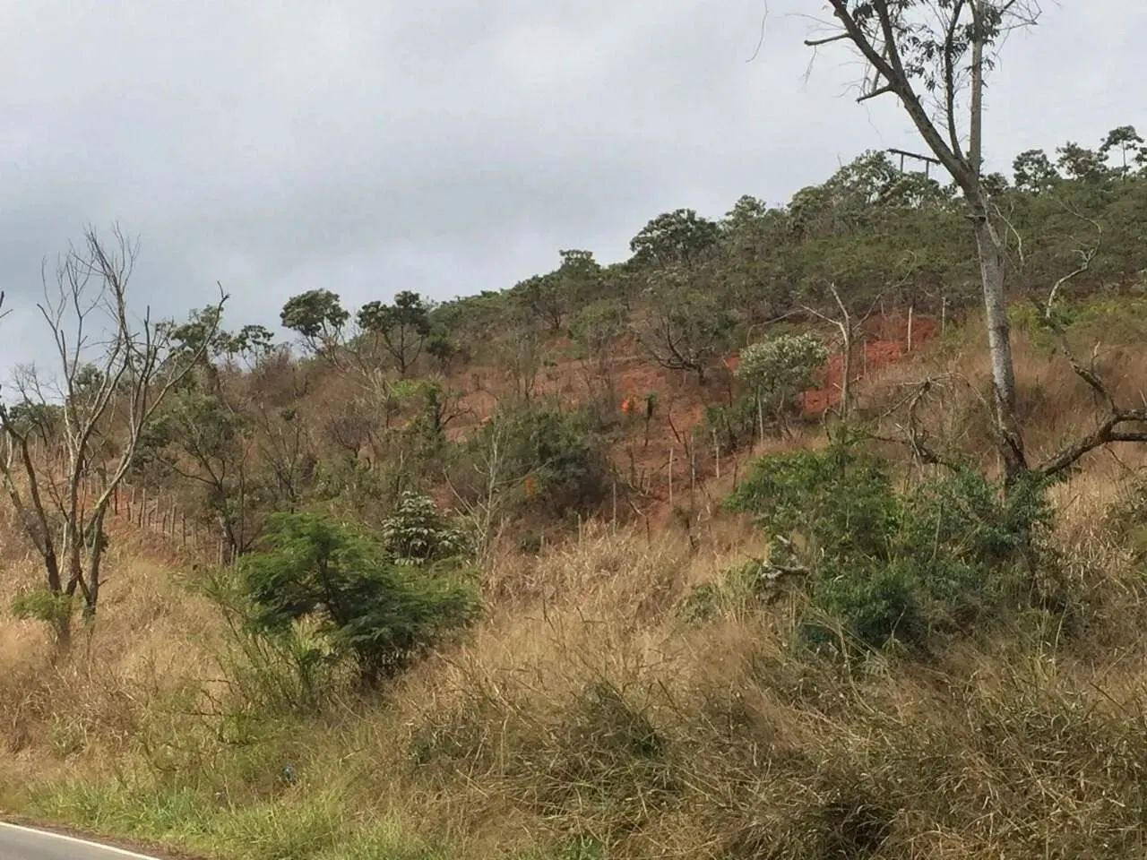 Chácara localizada no município de Barra Longa