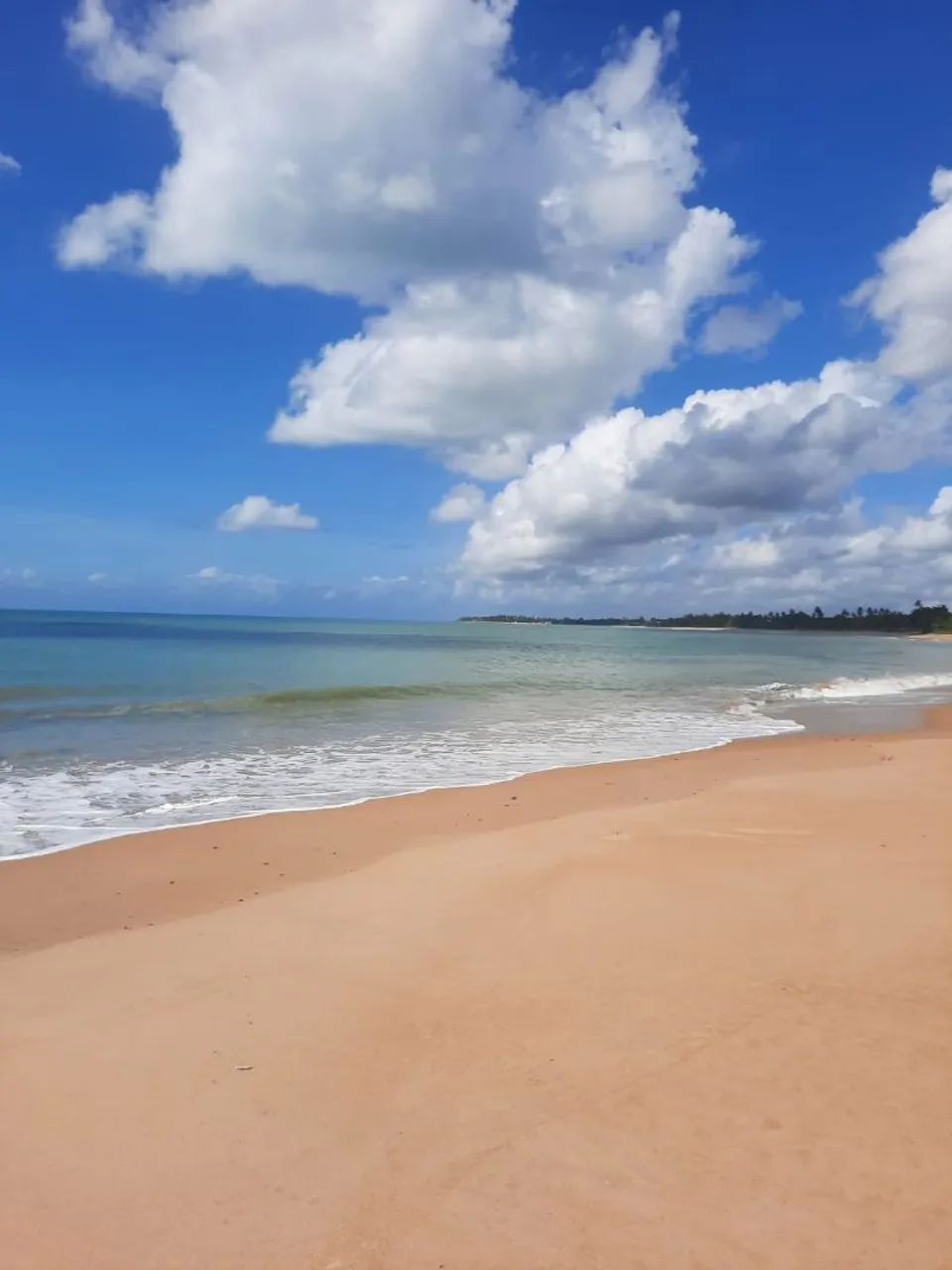 Terreno na ilha de Vera Cruz - Foto 4