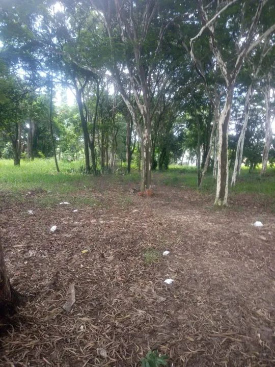 área - Jardim Planalto de Viracopos - Campinas - Foto 9