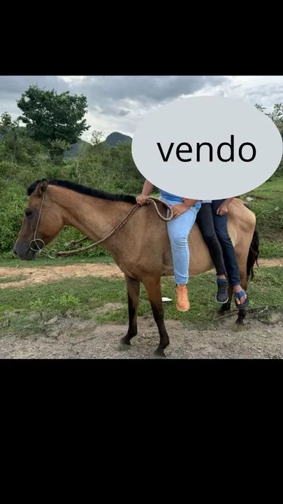 EGUA E POLDA - Foto 2