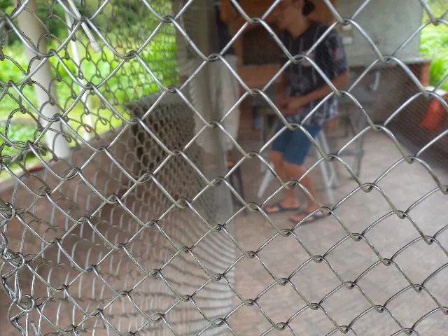 Gaiola em inox para peixes, piscicultura 2 m x 2 m x 1,5 m - Foto 3