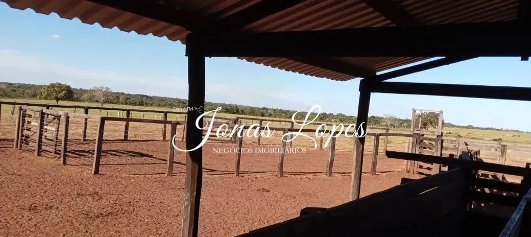 Fazenda 554 Hectares Pedro Afonso Tocantins - Permuta Fazenda Paraná - Foto 3