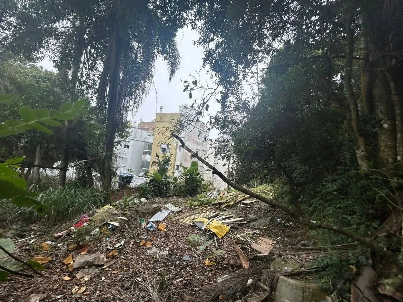 Terreno de 322m² em Coqueiros - Foto 3