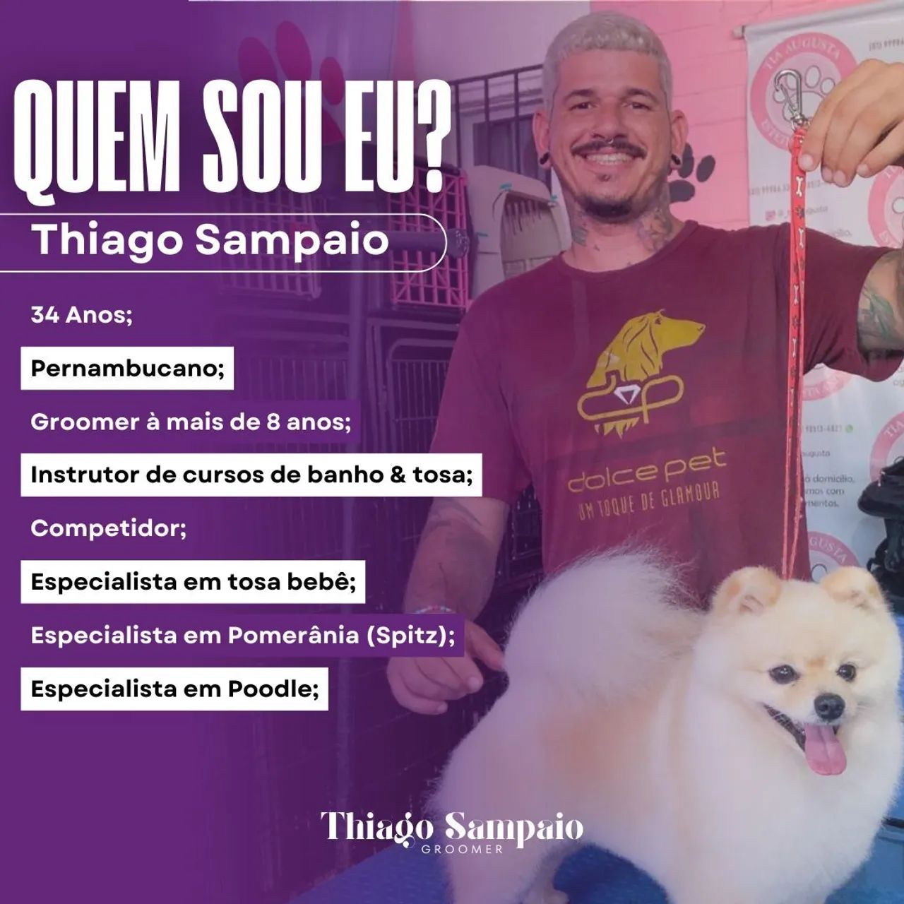 Banho e tosa à Domicílio 