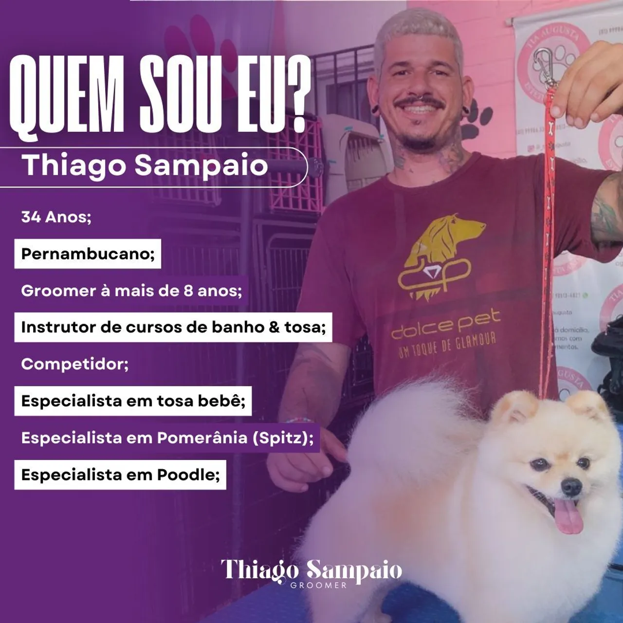 Banho e tosa à Domicílio 