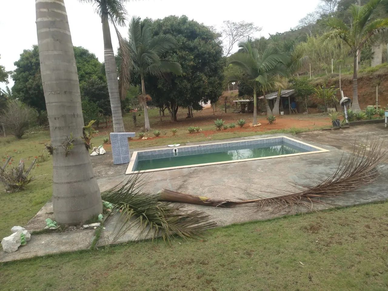 Granja venda e aluguel  - Foto 4