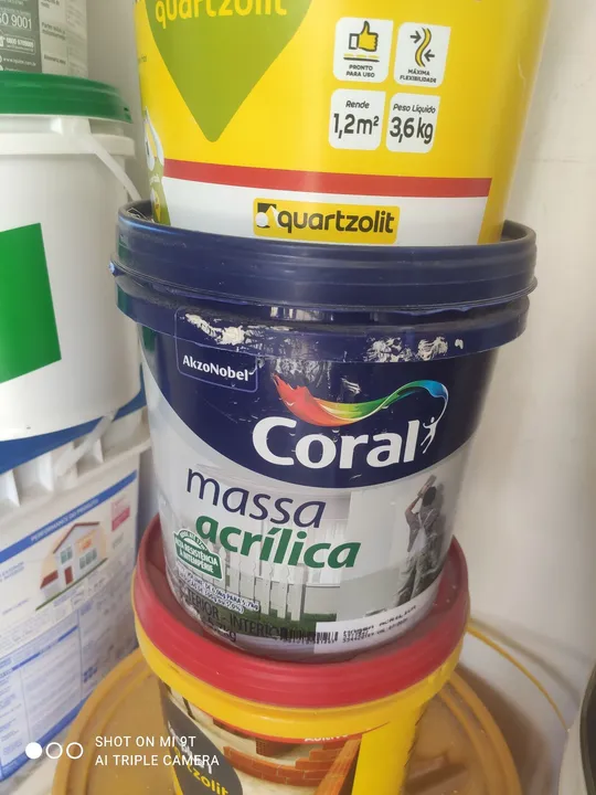 Tinta Coral Massa Acrílica