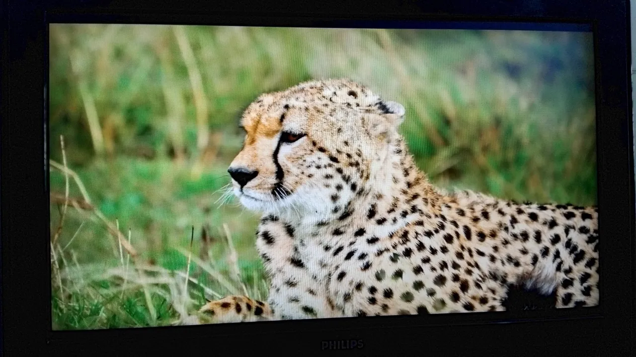 TV Philips com imagem de alta qualidade