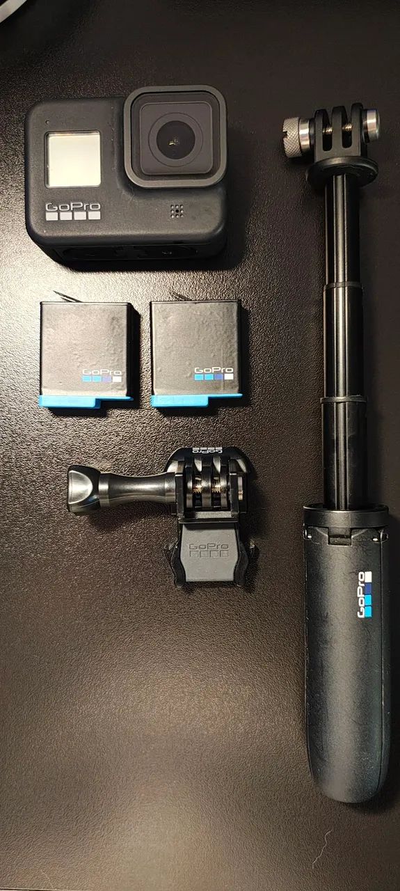 GoPro HERO 864520775485441125