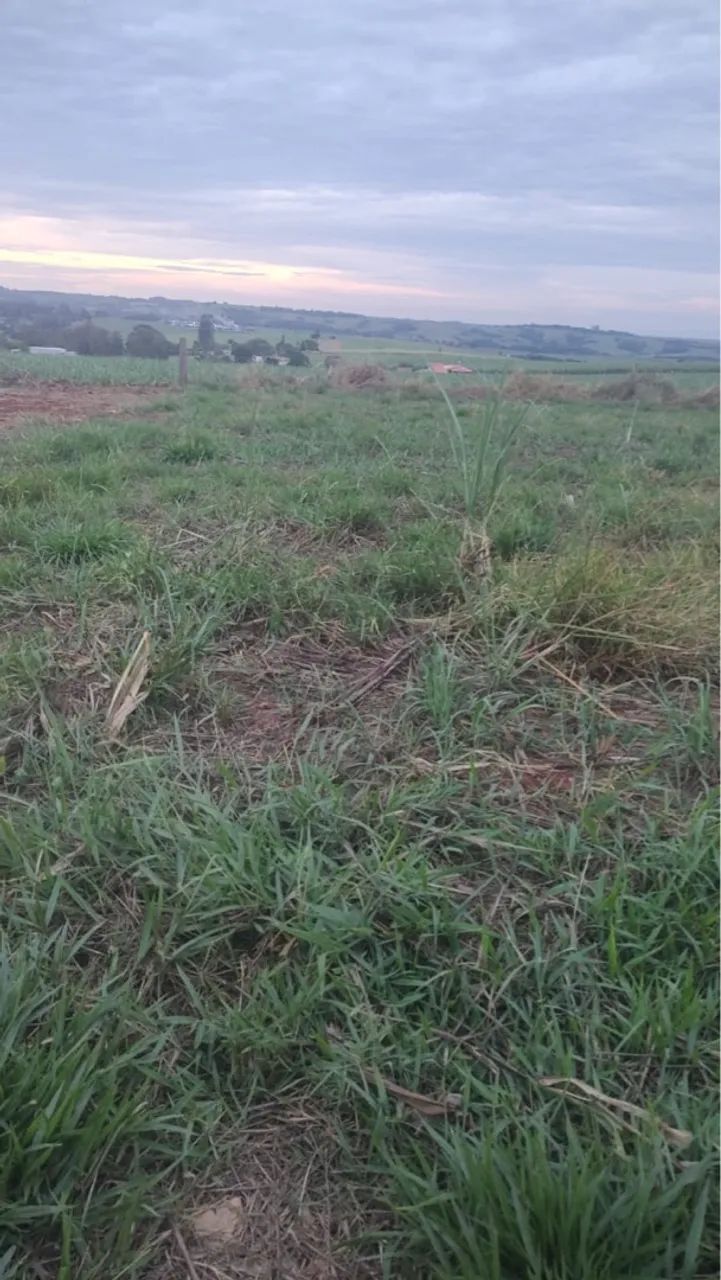 Terrenos disponíveis  - Foto 2