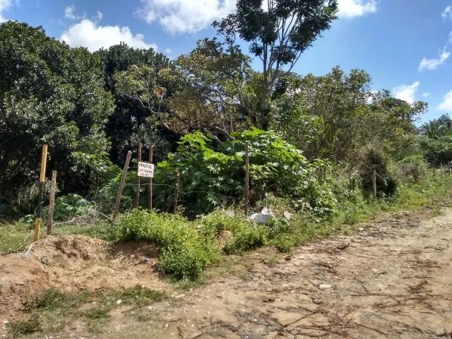 Terreno 570 m2 - Foto 3