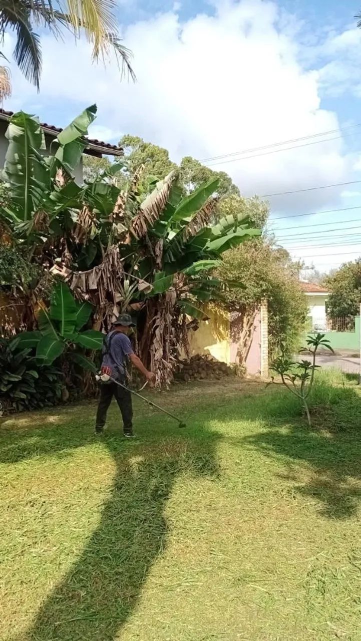 Serviço de jardinagem e limpeza de terrenos  - Foto 4