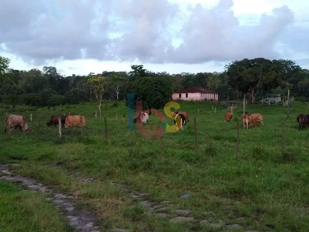 FAZENDA CONJUNTO STA. EULÁLIA - Foto 4