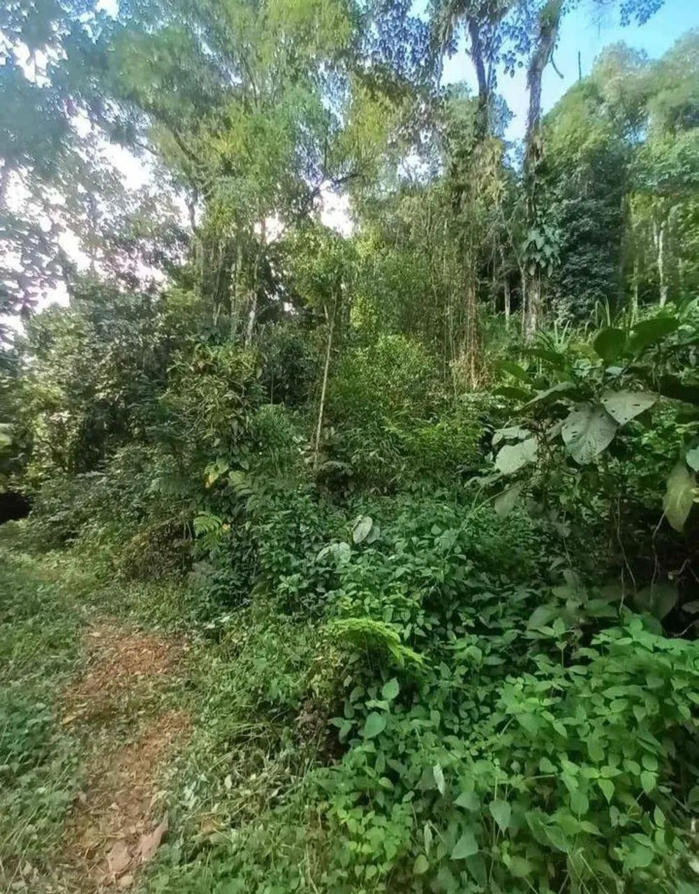 Terreno em Angra dos Reis  - Foto 4