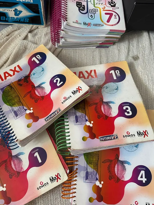 Livros 1 ano ensino médio Maxi