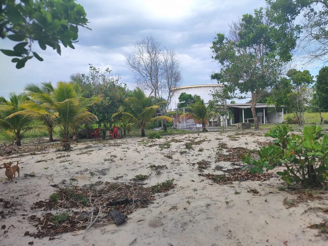 Vendo chácara em barra nova sul - Foto 3