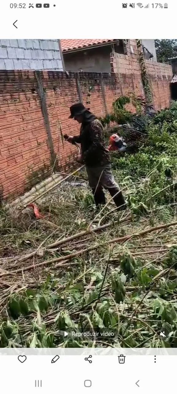 Rocagem  - Foto 4