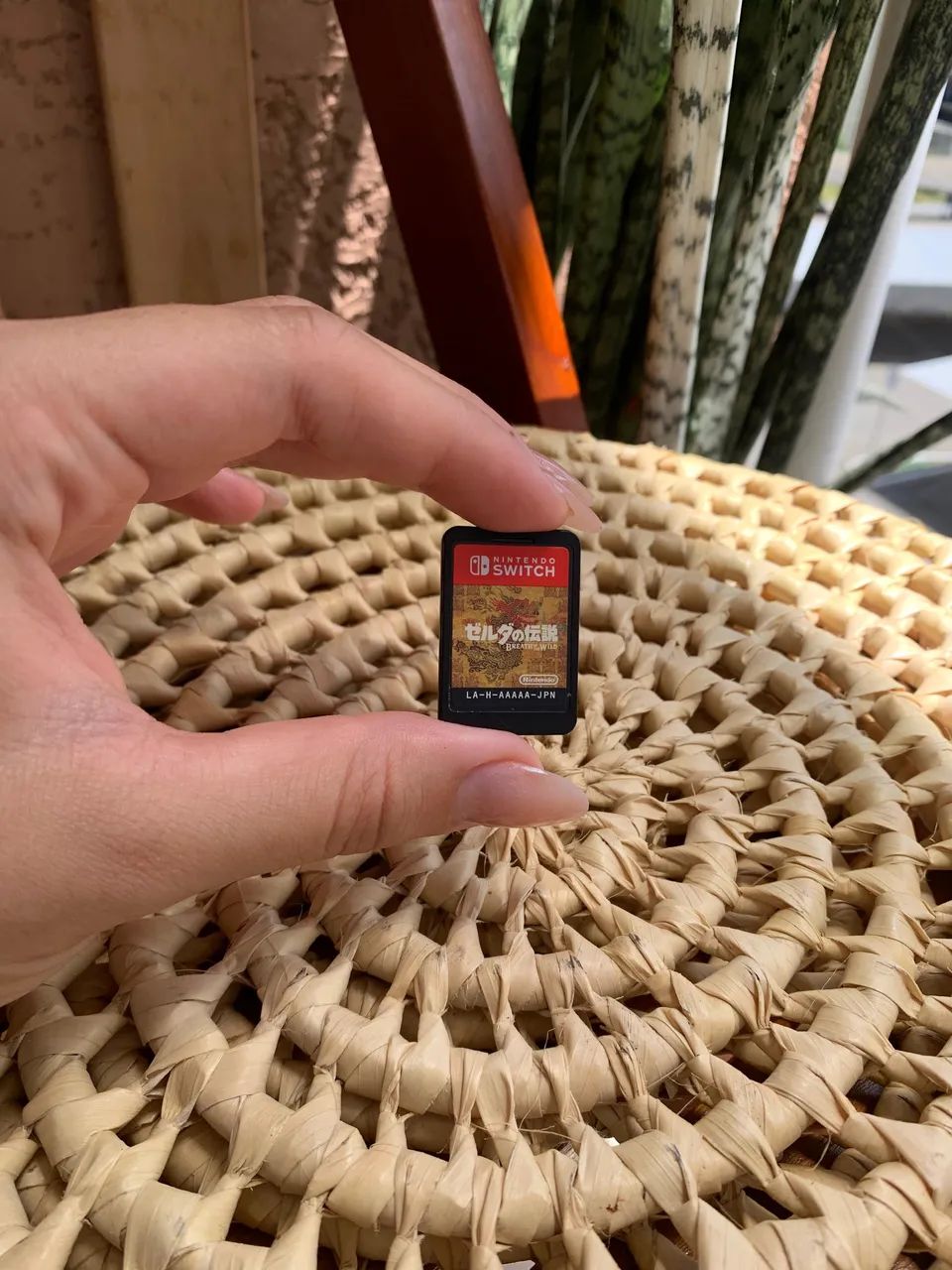 Nintendo switch lite Semi Novo todo completo (case e carregador ...