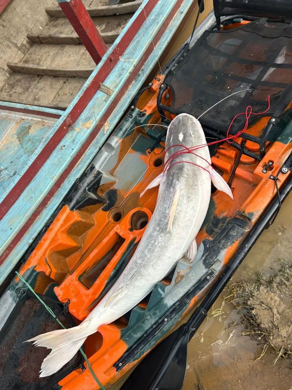 Caíque tuna pró  - Foto 5