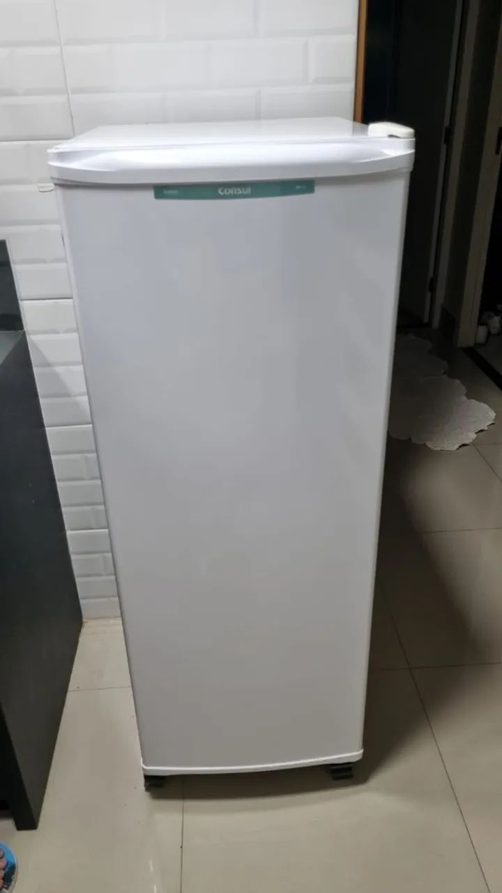 Frezeer Consul 121 litros