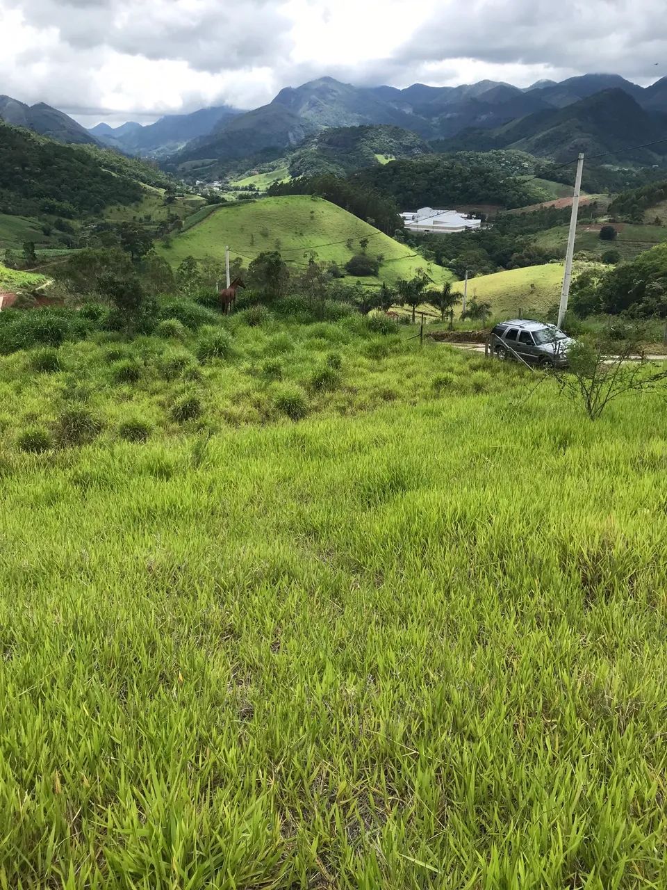 Foto - Bom Jardim - 