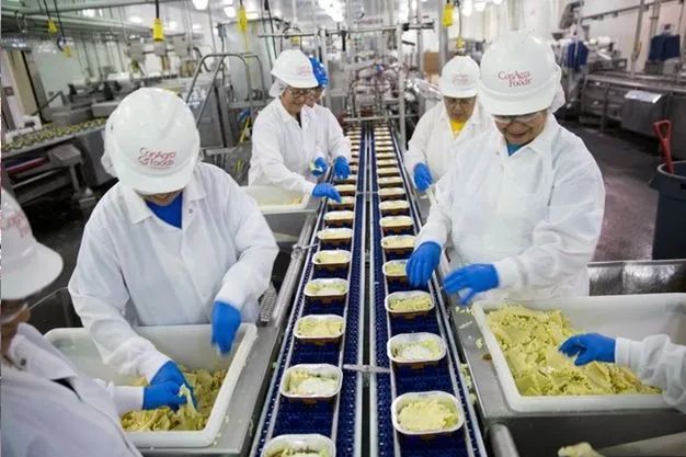 Vaga para pizzaiolo 