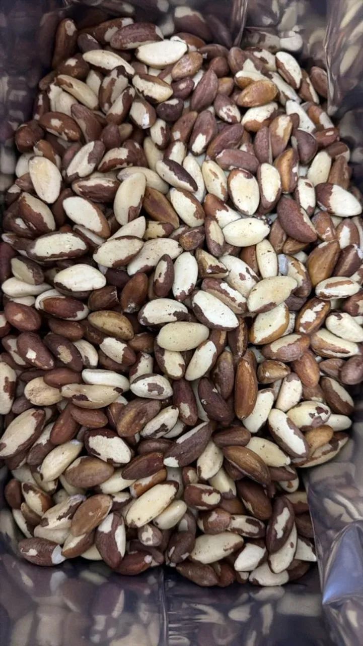 CASTANHA DO PARÁ  - Foto 2