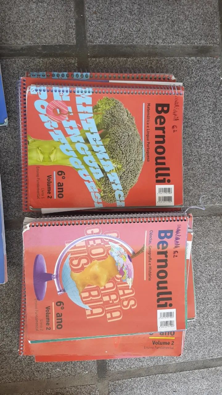 Material didático Bernoulli 6° ano