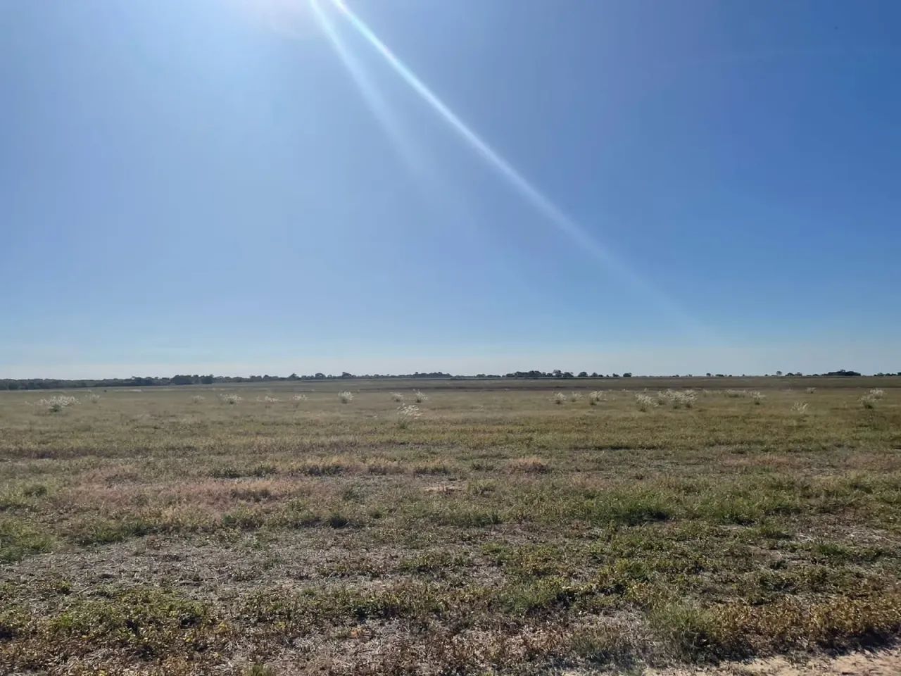 Fazenda a venda em Formoso do Araguaia- Tocantins - Foto 3