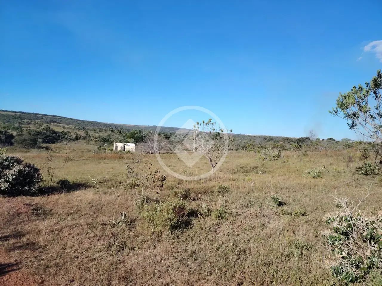 CHÁCARA A VENDA EM CRISTALINA codigo: 150455 - Foto 3