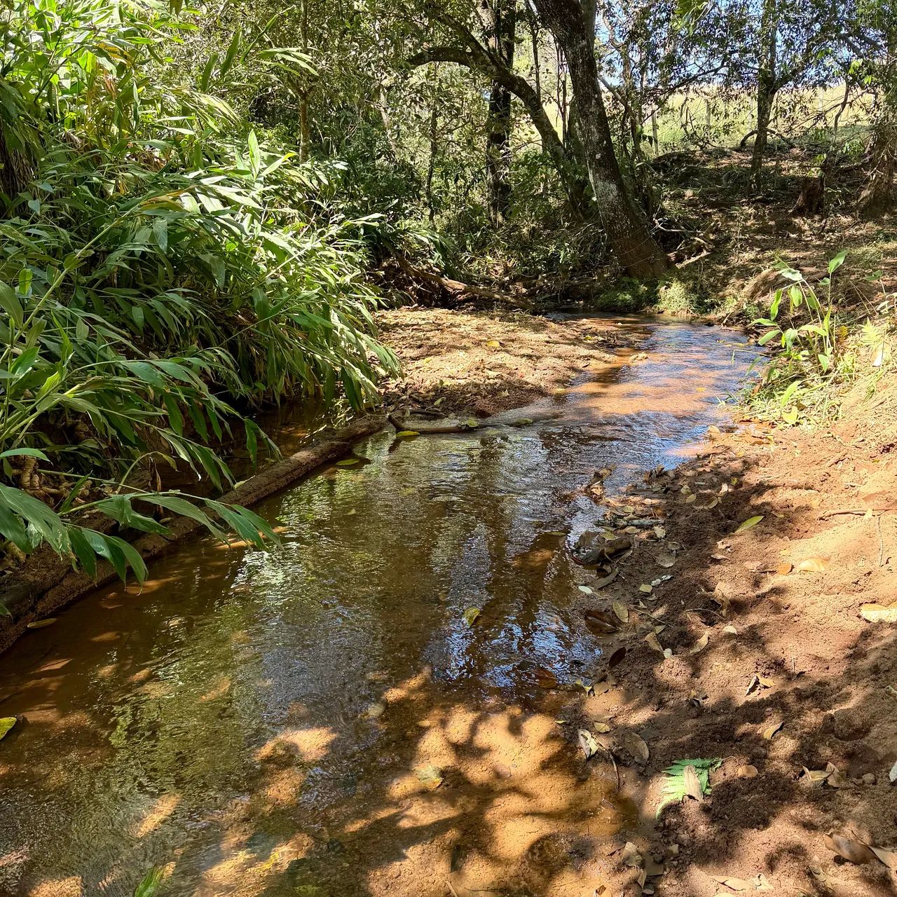 Chácaras com Córrego em Bonfinópolis-GO - Foto 4