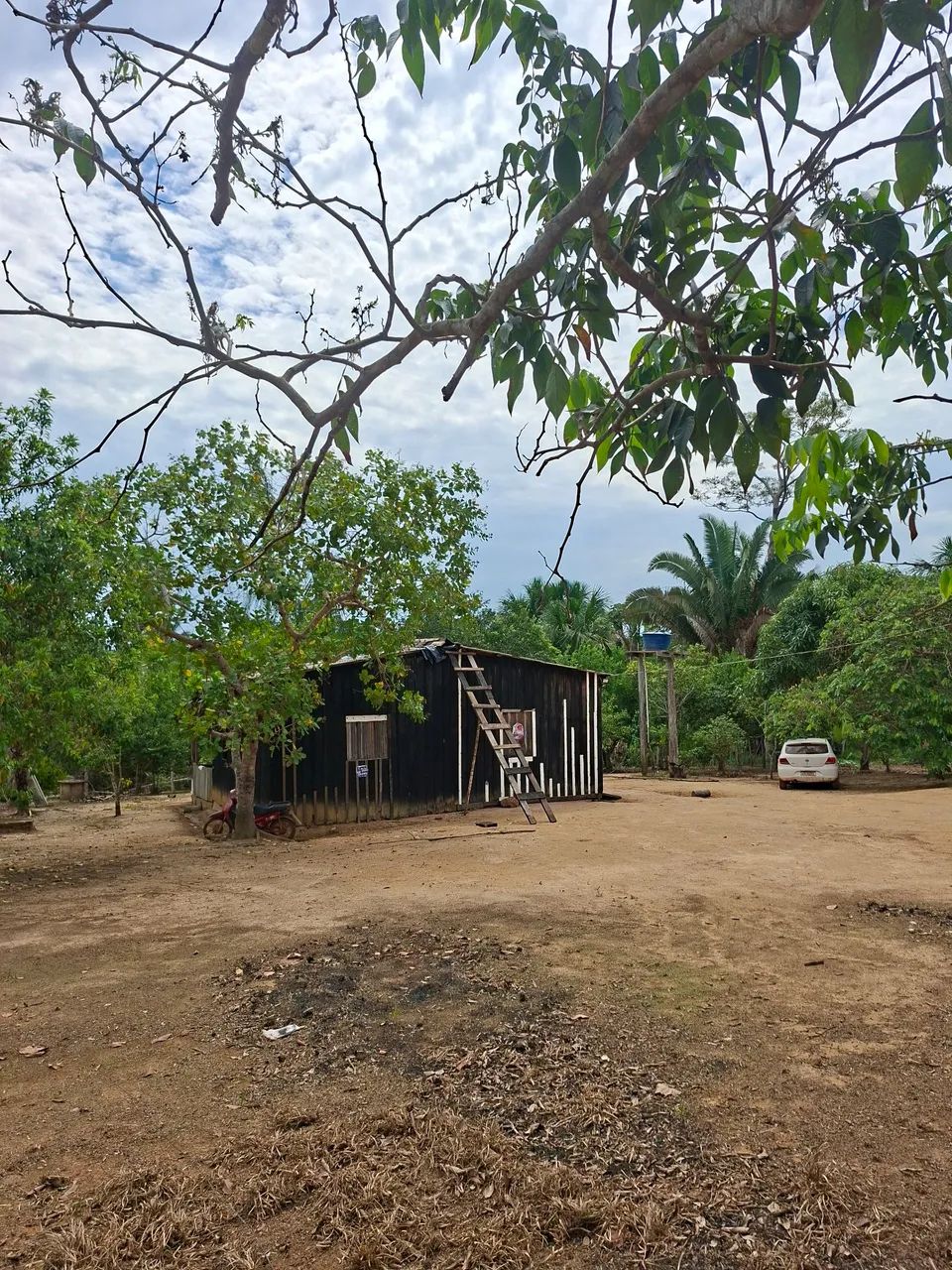 VENDE-SE SÍTIO <br> - Foto 2