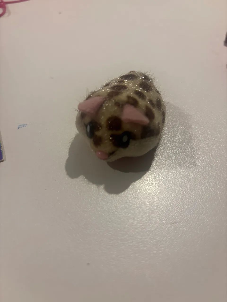 Hamster In a House com o veículo  - Foto 2