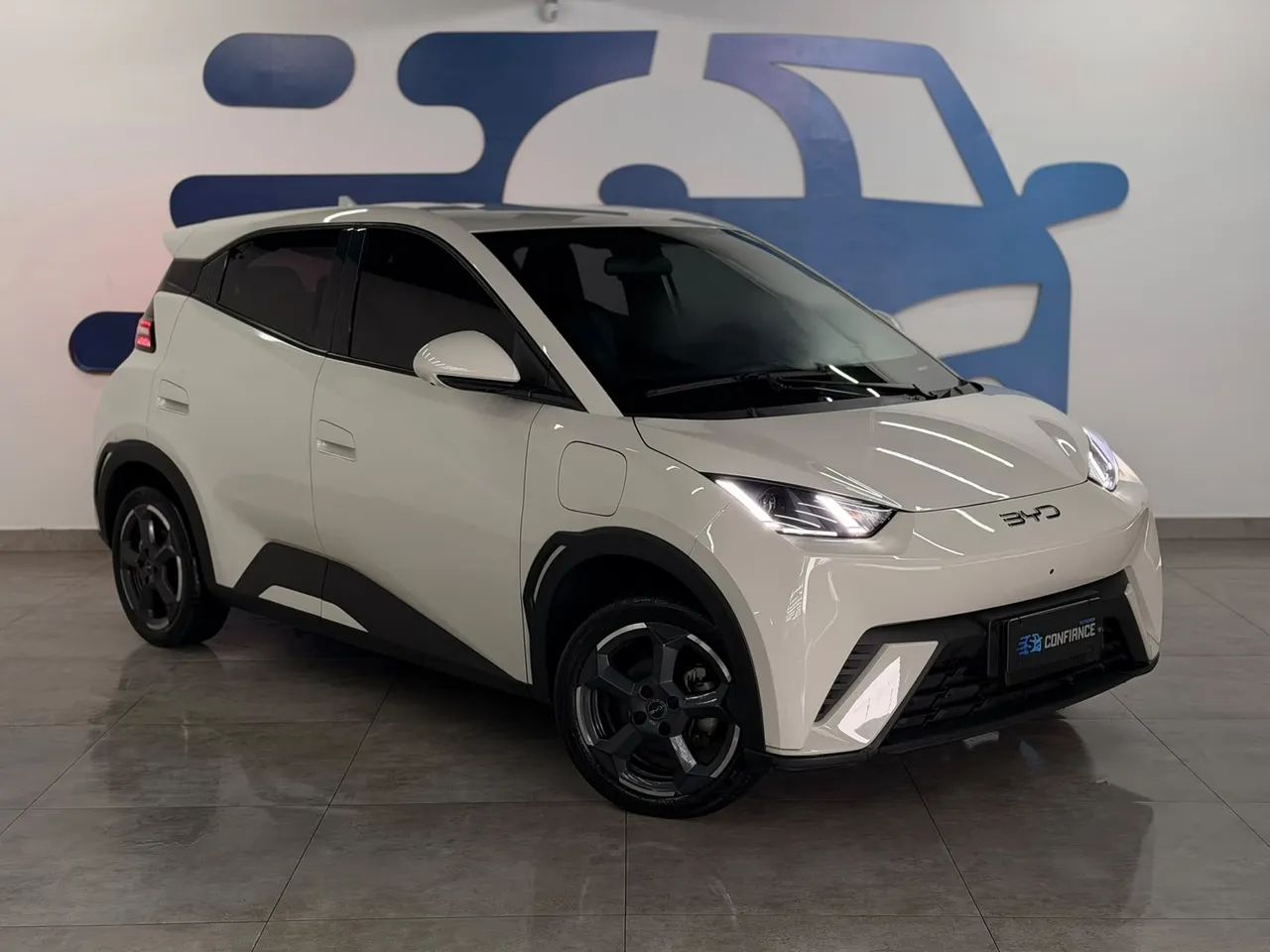 BYD Dolphin DOLPHIN EV (ELTéTRICO) 2025