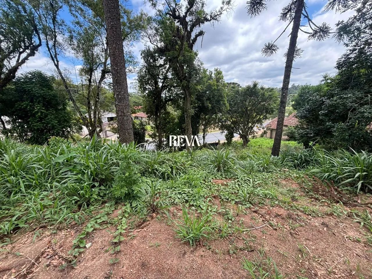 Terreno com 652,04 m²