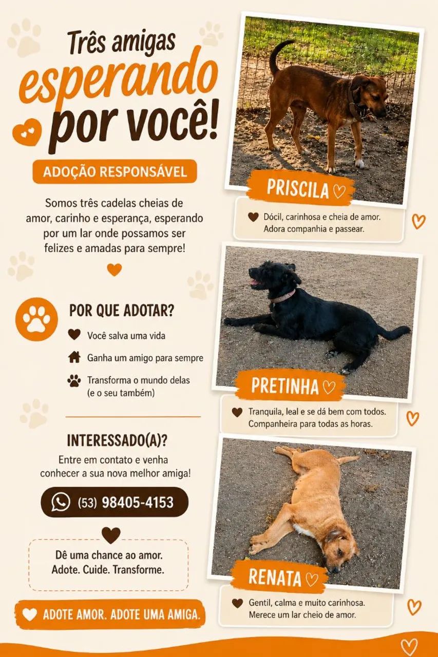 Adoção RESPONSAVEL  - Foto 2
