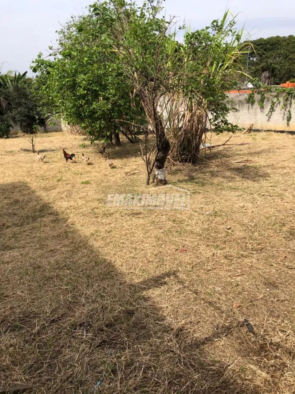 Terreno em Bairros em Sorocaba - Foto 5