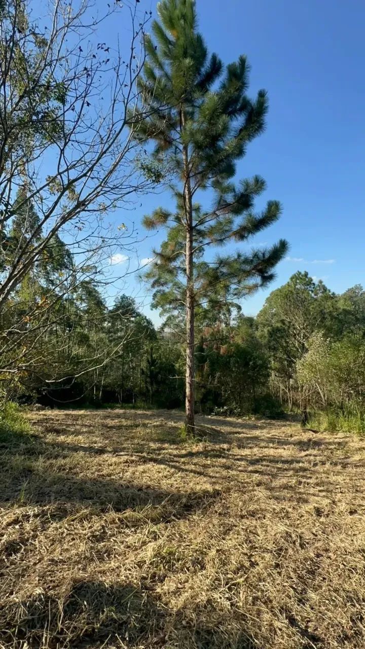 1.000m² em Mairinque | Viva Cercado Pela Natureza - Foto 2