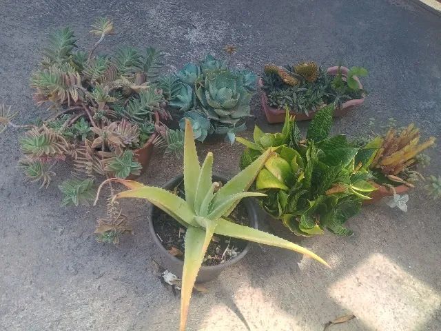 Vendo estás - Foto 4