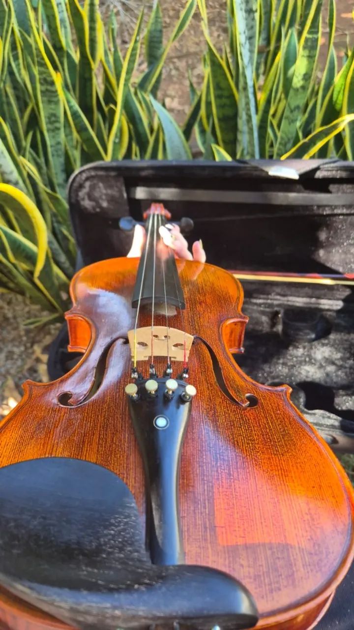 Violino 4/4 Eagle VK544 Tampo Maciço - Foto 5