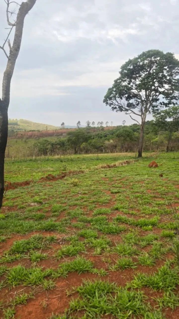 OPORTUNIDADE  - CHÁCARAS FINANCIADAS PEQUENA ENTRADA - Foto 2