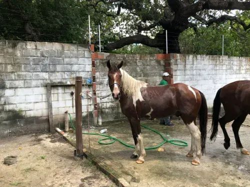 TERRENO FAZENDA IMPERIAL - Foto 4