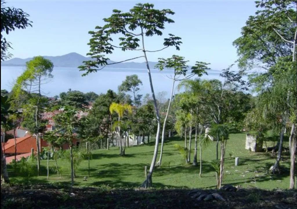 Lote / Terreno em Ponta de Baixo - São José