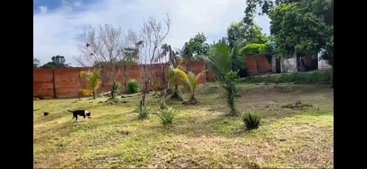 Vendo Exelente Chácara em Belém! - Foto 10