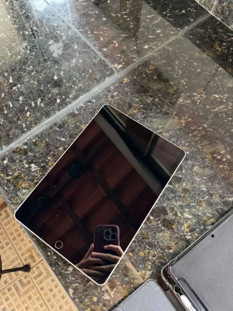 iPad + Caneta