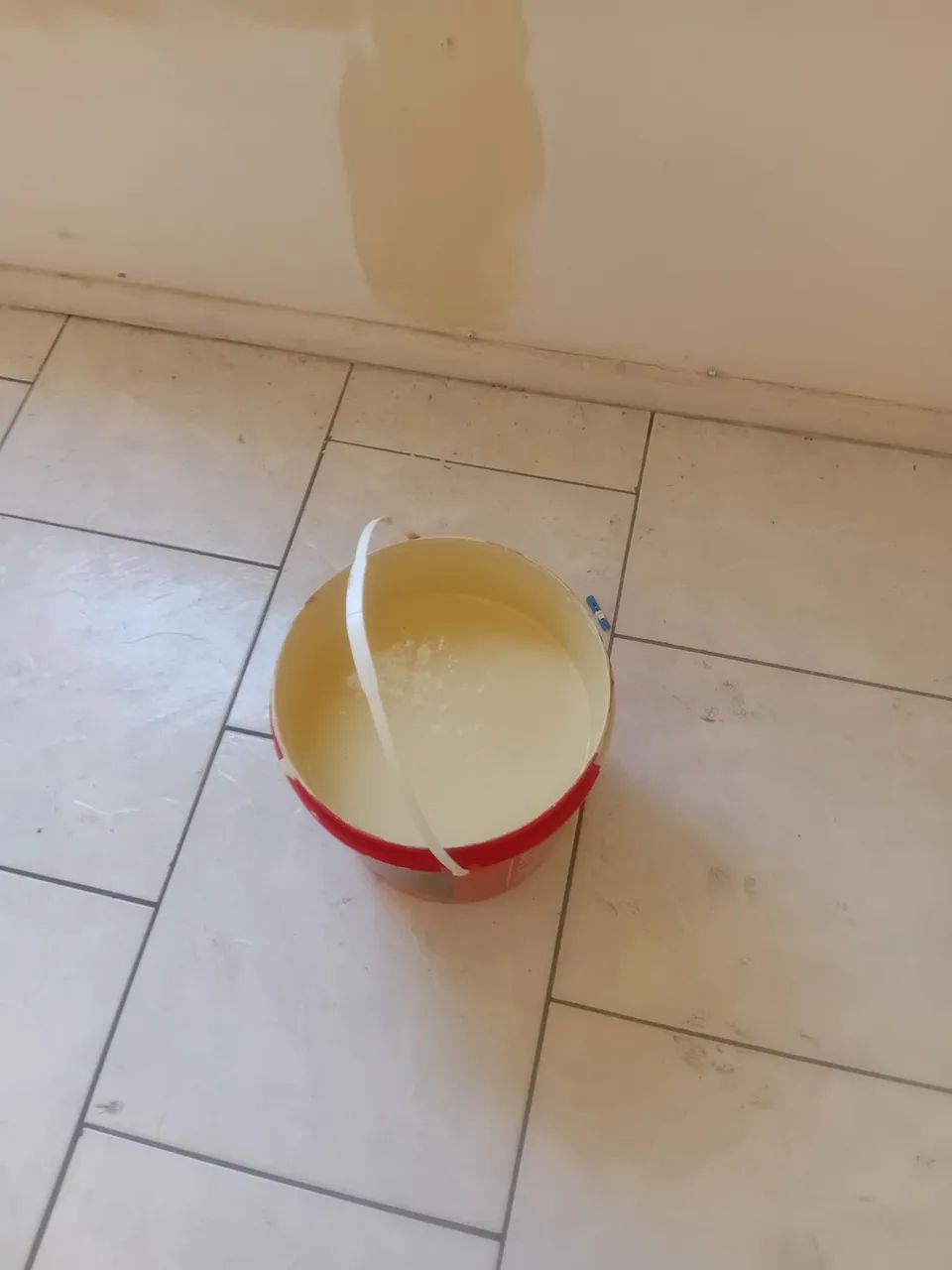 Limpeza De Condomínio e pintura 