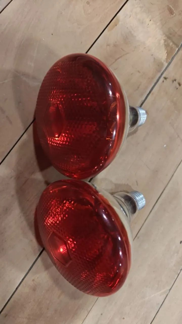 2 Lâmpadas Infravermelhas 150W 220V E27 - Funcionando - Foto 2