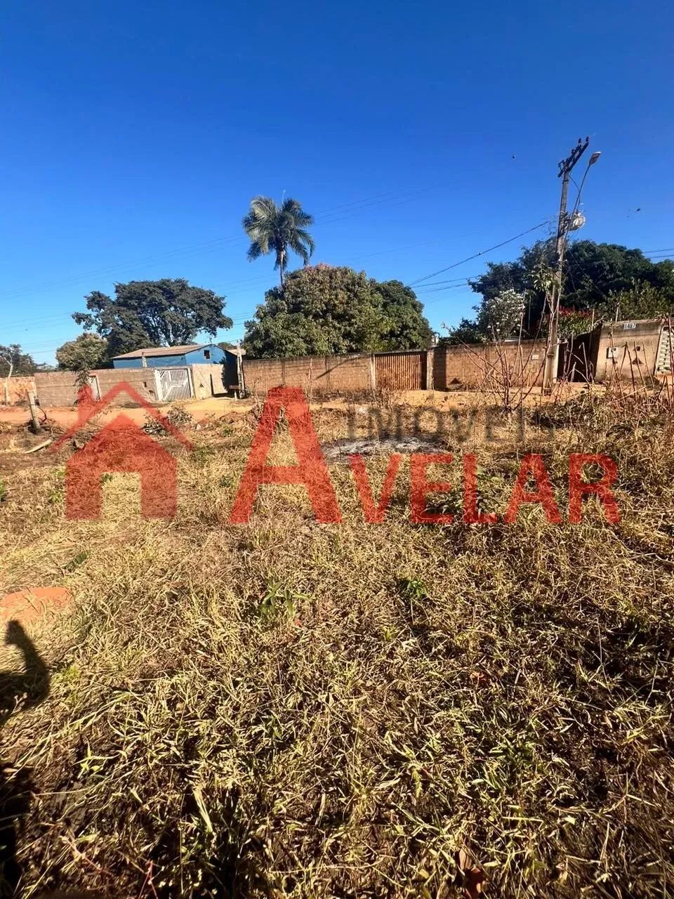 Terreno para venda, Morada Nova, Uberlândia - TE961 - Foto 3