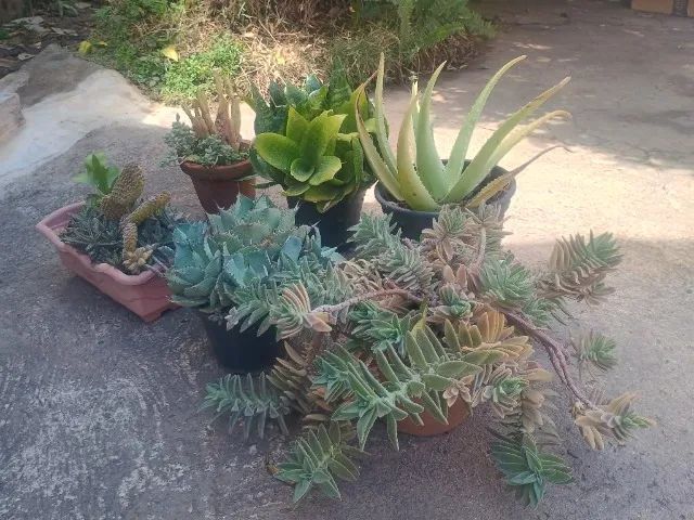 Vendo estás - Foto 3